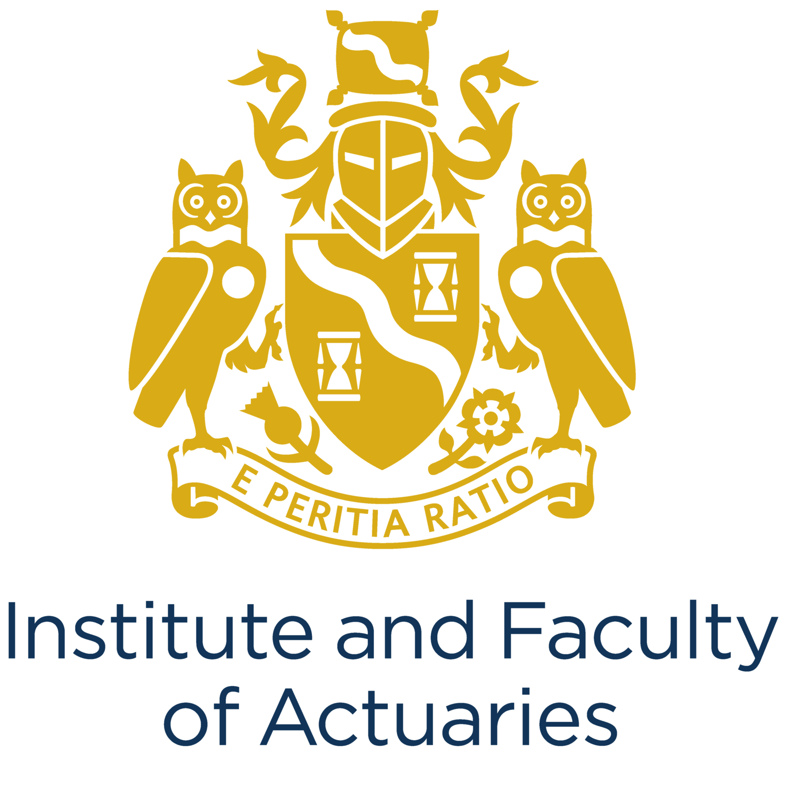 Institute and Faculty of Actuaries, Remuneration and People Committee ...