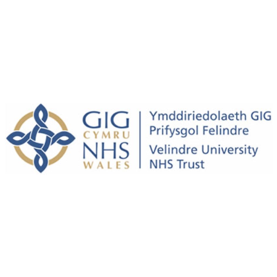 Velindre University NHS Trust ~ Independent Member – Dynamic Boards