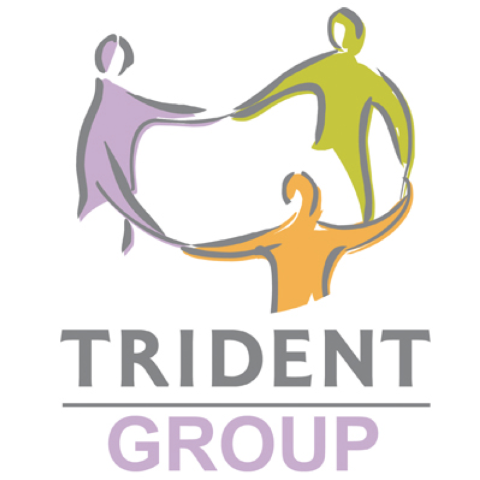Trident Group Board Members and Committee Members (4 roles) Dynamic