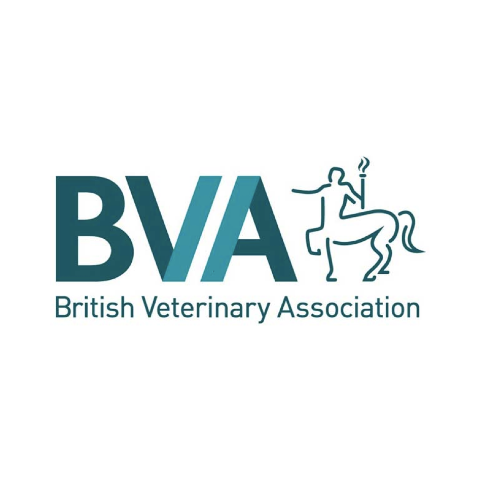 British Veterinary Association NonExecutive Board Director (Finance