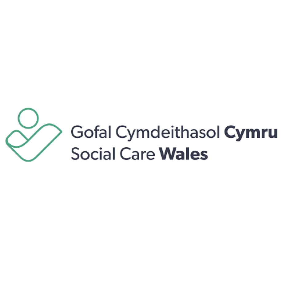 social-care-wales-board-members-dynamic-boards