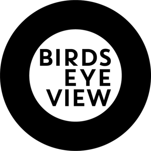 Birds Eye View Trustees and Advisory Group Members Dynamic Boards