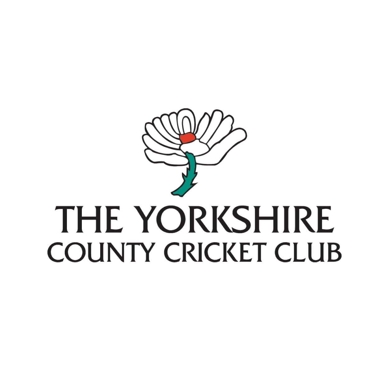 Yorkshire County Cricket Club Chair Dynamic Boards yorkshire-county-cricket-club-chair-dynamic-boards