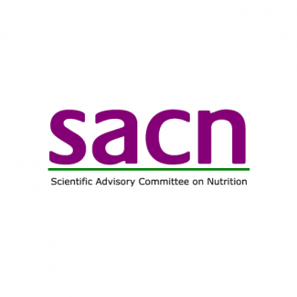 The Scientific Advisory Committee On Nutrition Lay Member Dynamic