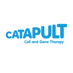 The Cell and Gene Therapy Catapult ~ Non-Executive Director – Dynamic ...
