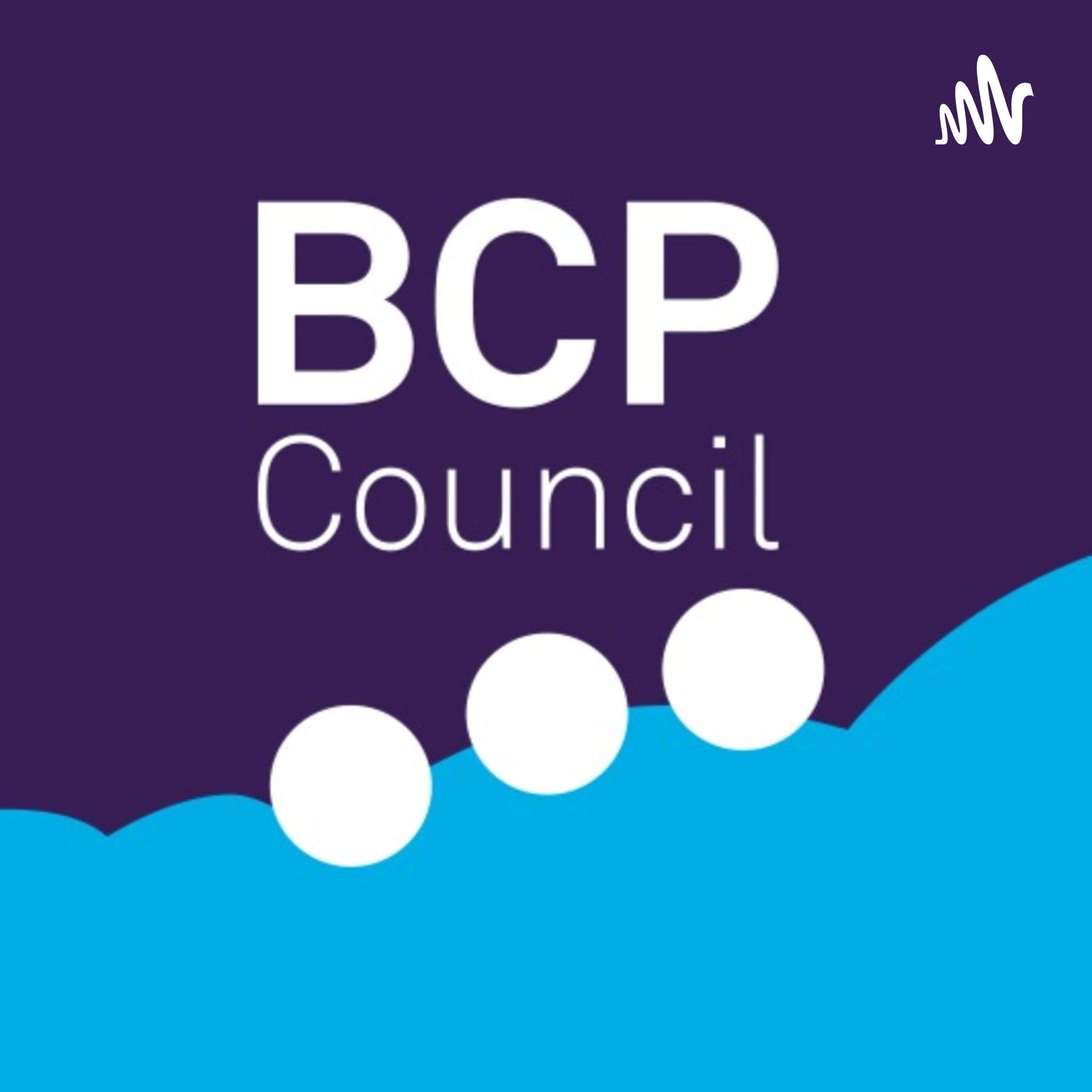 Bcp Elearning Commons BCP Council ~ Education Partnership Board Independent Chair – Dynamic ...